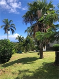 Image du bien APR750384